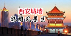 啊啊啊草我小骚逼视频中国陕西-西安城墙旅游风景区