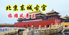 白丝校花被后入插逼中国北京-东城古宫旅游风景区